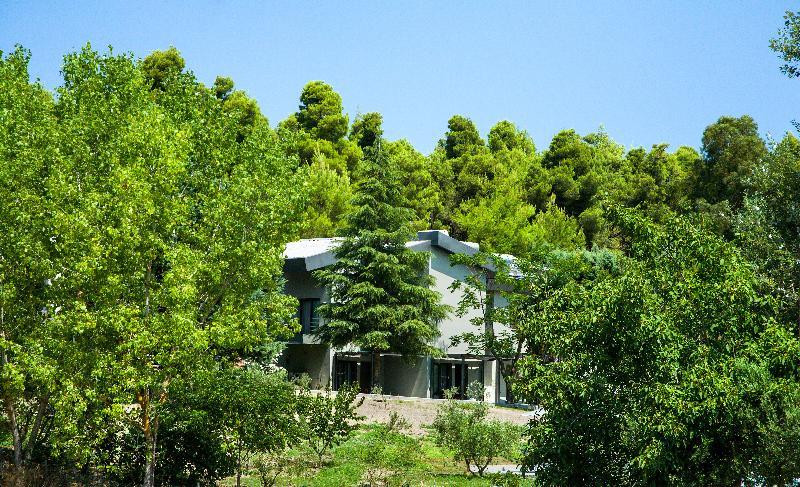 Sani More & Sani Woods (Adults Only) Экстерьер фото